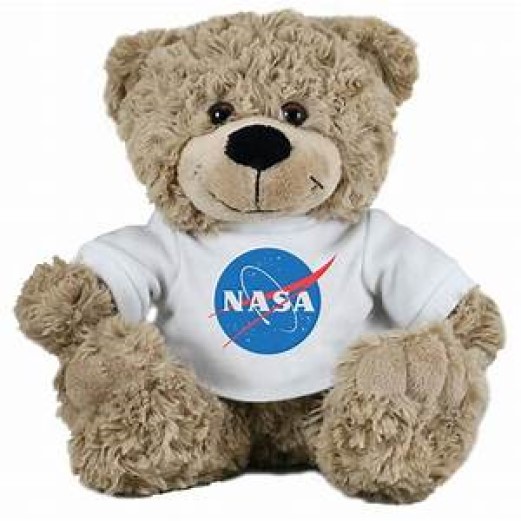 NASA Logo Bear